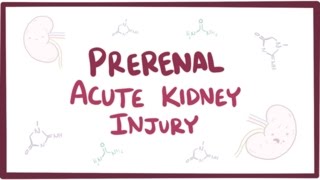 Prerenal acute kidney injury acute renal failure  causes symptoms amp pathology [upl. by Asyar]