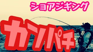 三宅島で釣りしよう！ショアジギでカンパチ！ [upl. by Minabe]