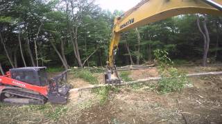 Kubota Skidsteer mulching trees [upl. by Semele]