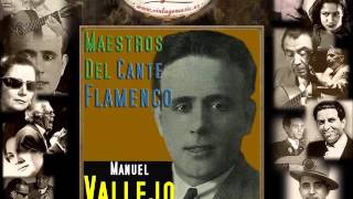 Manuel Vallejo  Fandangos Ese Mi Gusto Sería  Ni Hermosura Ni Dinero Flamenco Masters [upl. by Pagas940]