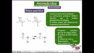 Aminoácidos Generalidades  Parte I [upl. by Seale]