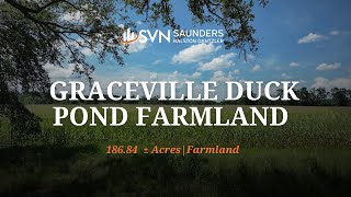 Florida Farmland For Sale  Graceville Duck Pond Farmland  18684 ± Acres  Graceville FL [upl. by Graybill]