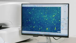 ThreeDimensional Optical Wave Field Microscope MIINUKManual [upl. by Ronoh]