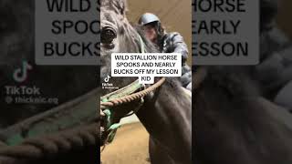 10 minutes of horse riding fails [upl. by Ahsikrats]