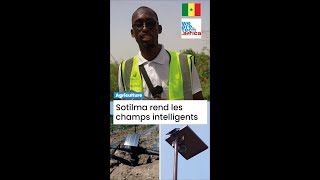 🌾📱 Sotilma  LAppareil qui Connecte les Champs et Révolutionne lAgriculture au Sénégal  🇸🇳🚀 [upl. by Los]