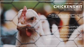 CHICKENSHIT 2018  Short Film w Directors Foreword [upl. by Abbottson412]