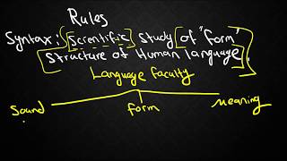 SYNTAX1 Types of Grammars and Locating Syntax within Linguistics [upl. by Ark]