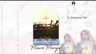 SAINT THOMAS AQUINAS CHOIR  Mawe Mariya Official Audio [upl. by Maxima]