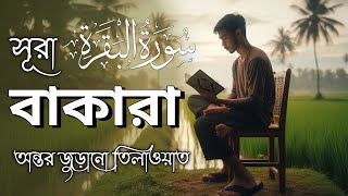 সূরা আল বাকারা আবেগময় কণ্ঠে তিলাওয়াত l Surah AlBaqarah سورة البقره by Tareq Mohammad [upl. by Lumbye]