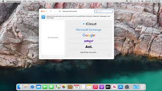 How To SetupSync Internet Account on macOS Tutorial [upl. by Larrie]