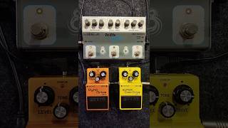 TRIEFX  SD1  DN2 loucosporpedais bosspedals boss landscape [upl. by Salene]