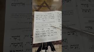 How to do morning prayer in 15 minutes Jewish shacharit Sephardic shortened [upl. by Atimad]