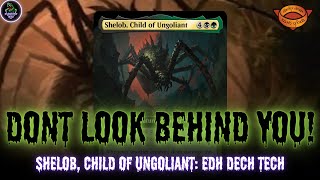 Shelob Child of Ungoliant EDH Deck Tech Spider Tribal LotR EDH Mtg [upl. by Ahsina]