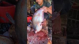 World Famous Biggest Size Pangas Fish Cutting Skills In expert Cutter 😱 shorts [upl. by Soinotna]