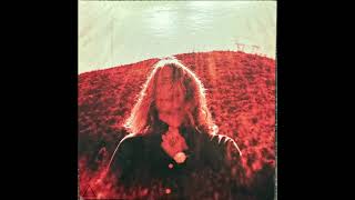 Manipulator  Ty Segall [upl. by Notterb]