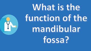 What is the function of the mandibular fossa   Best Health FAQ Channel [upl. by Bunder586]