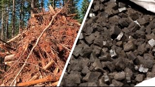 How wood waste is turned into a coal substitute [upl. by Leunas]