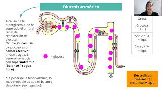 Alteraciones hidroelectrolíticas I 2023 [upl. by Adrian]