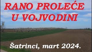 RANO PROLEĆE U VOJVODINI  MART 2024 [upl. by Todd]