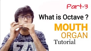 Mouth Organ  Lesson on Octaves  How to Play Harmonica  Basic Training [upl. by Terencio92]