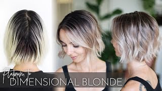 All Over Platinum to Dimensional Blonde Balayage in one Appointment  Easy Technique [upl. by Wittenburg573]