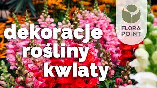 Co dzisiaj wybierzesz Fikusa kwitnące cuda czy wazon  przegląd nowości  Flora Point [upl. by Betthezul]