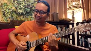 Satin Doll  Solo Acoustic Jazz Guitar  Az Samad [upl. by Ellertnom176]