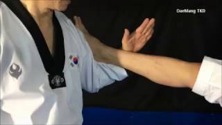 KTA Taekwondo Poomsae Application Jabki [upl. by Yarg]