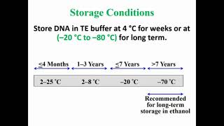 Storage Extracted DNA [upl. by Ever]