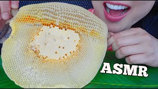 ASMR RAW HONEYCOMB RELAXING SOFT EATING SOUNDS NO TALKING  SASASMR [upl. by Tran]