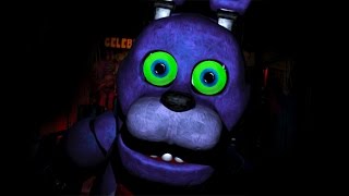 Five Nights at Freddys 5  FINALLY FINISHED [upl. by Reinhart]