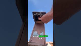 Prevent Dryer Vent Roof Vent Clogs Expert Tips for Efficient Drying dryervent [upl. by Eiramannod622]