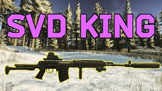 This Ergonomic SVD Build is so GOOD  Escape from Tarkov Weapon Guide [upl. by Eecyal]