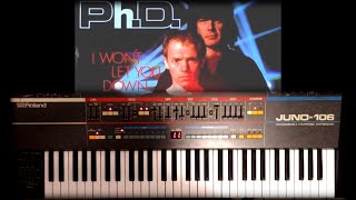 I Wont Let You Down  Synthesizer Intro with my Juno106 PhD Keyboard Cover [upl. by Suertemed70]