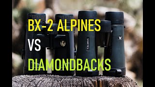 Leupold BX2 Alpines VS Vortex Diamondback HD Binoculars 10 X 42 [upl. by Odranoel]