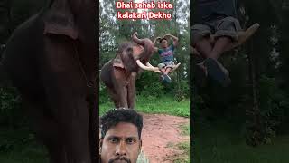 Hathi ka takat kitna hai bhai aadami ko dant per Utha leta hai ashutosh animals elephantsantuary [upl. by Gilud]