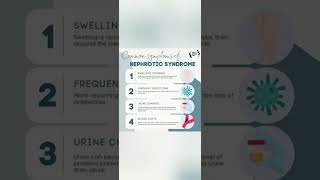 NEPHROTIC SYNDROME [upl. by Nordine]