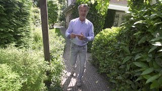 Tuinverlichting aanleggen Tips voor je bestaande of nieuwe tuin [upl. by Yk972]