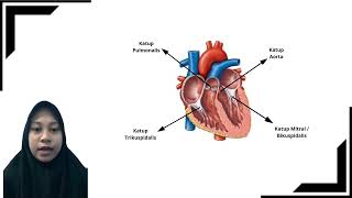 Anatomi dan fisiologi kardiovaskular St Rahmawati PutriR011231012 [upl. by Vizzone]
