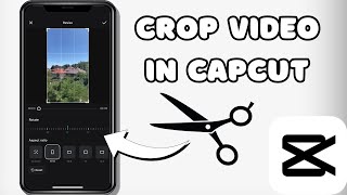 How To Crop Video In CapCut 2024 Version [upl. by Neddra]