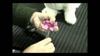 How to place bows that actually stay in with Melissa Verplank [upl. by Lathrop]