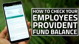 How to Check Your Employees Provident Fund Balance [upl. by Yvel352]