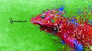 Mauro Picotto  Iguana RAF By Picotto Mix ·1999· [upl. by Nauh]