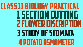 Class 11 biology practical core experiments and slide [upl. by Aicirtak]