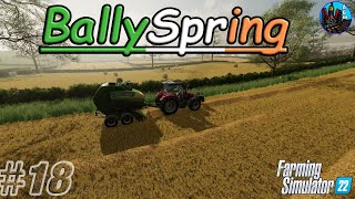 STRAW AND COWS  Ballyspring Episode 18 [upl. by Eveivaneg]