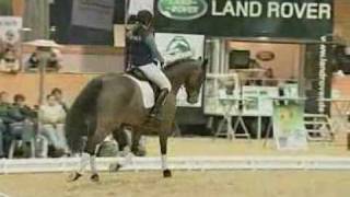 DVD  Besser Reiten  Kapitel 4 [upl. by Atiz]