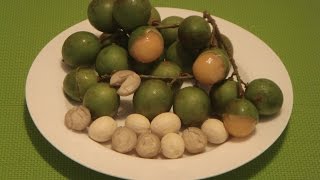 How to Cook Quenepa Seeds [upl. by Sydalg124]