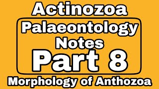 Anthozoa  Morphology of Anthozoa  Actinozoa  Phylum Cnidaria  Geological History of Anthozoa [upl. by Ginelle417]