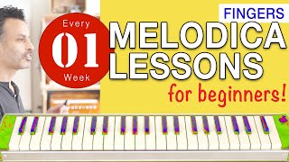 Melodica Lessons for Beginners 01 Fingers [upl. by Pleione]