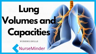 Lung Volume and Capacity What Are The Normal Values [upl. by Ahsikam]